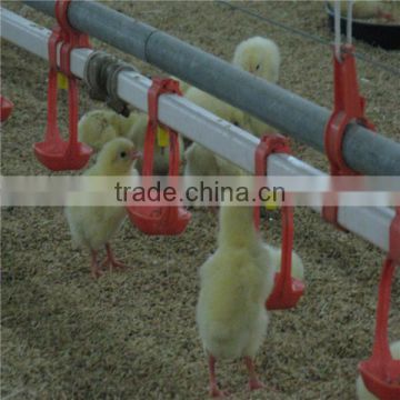 automatic chicken equipment for broiler and breeder