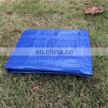 PE Tarpaulin for truck Outdoor sheet