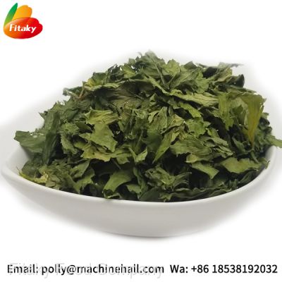 High Quality Organic Dried Celery Flakes Wholesale Price