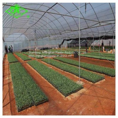100-200 Mic Multi - Function Film of Vegetable Greenhouse