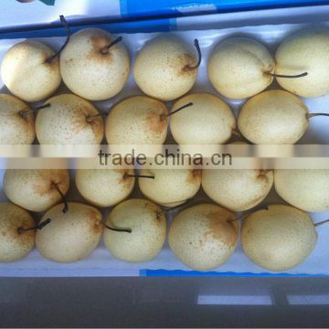Sweet Ya pear in lower price china pear high quality pear