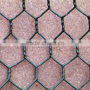 hexagonal chicken wire mesh(factory price)