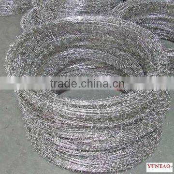 high quality electro or hot dipped galvanized barbed wire in UAE