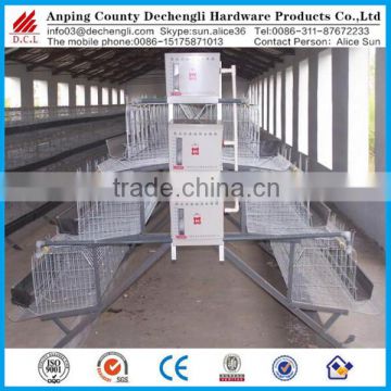 hot dip galvanized design layer chicken cages for sale