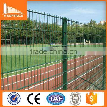 Strong and durable Ral6005 Doule wire Fence Mats