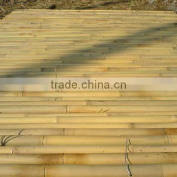 Tonkin bamboo cane bamboo stick for gardens for farm planting