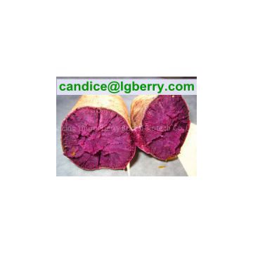 Professional purple sweet potato powder /anthocyanin 5%~70%