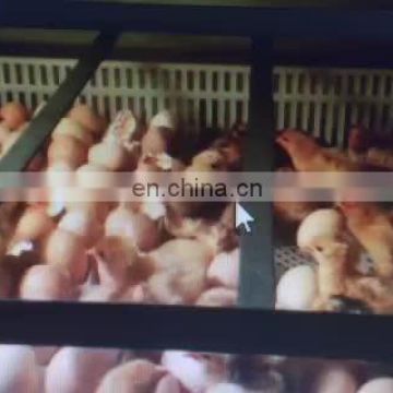 Commercial Factory Price Hatchery Machine Egg Incubator For Sale