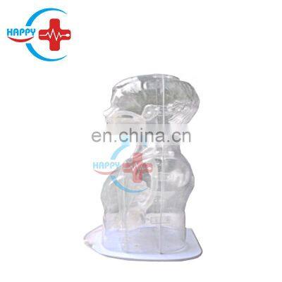 HC-S171 Infant care training model Advanced children nasal feeding and gastric lavage model (transparent type)