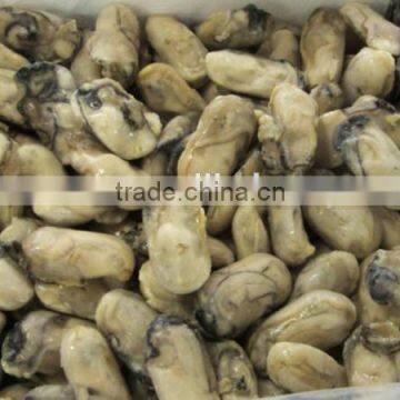 frozen iqf oyster meat in shellfish