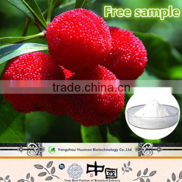 Manufacturer wholesale with competitive price natural organic Waxberry P.E.