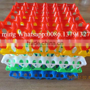 Egg cartons packing tray/chicken egg packing egg tray/30 holes egg tray