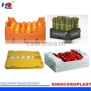 Customized Water Proof Fruit Plastic Box