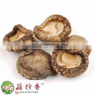 Dried shiitake mushroom with organic nutrition
