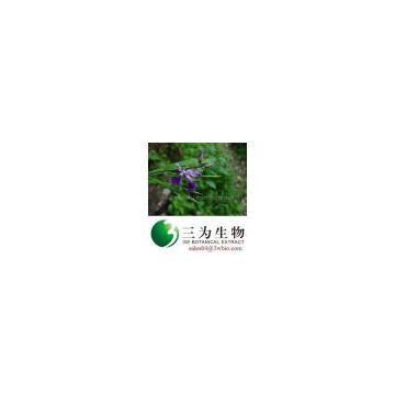 high quality Polygala Root extract