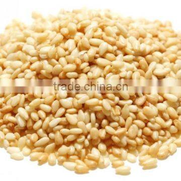 Nature type sesame