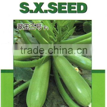 Jade 3 chinese early maturity long shape squash seeds