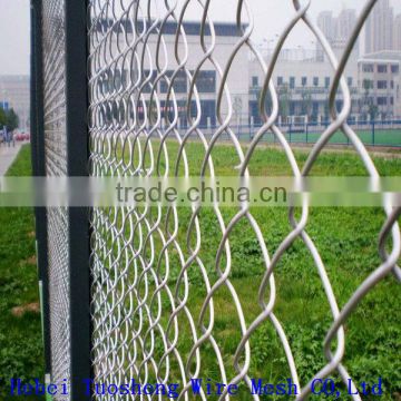 security fencing (China Factory)