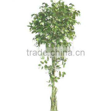 New Artificial ficus tree