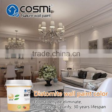 Decorative interior white wall paint
