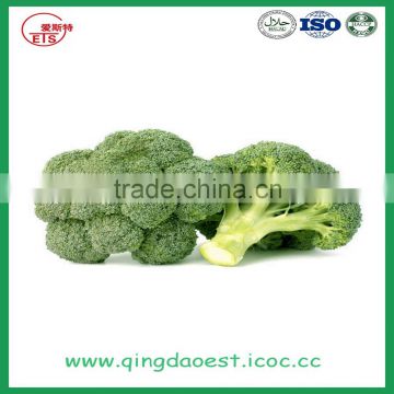 best price fresh broccoli for sale from china