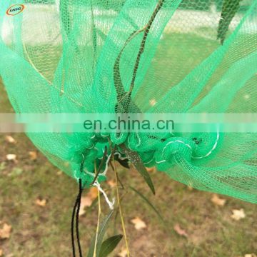 Both top opening green mesh net bag for date palm tree