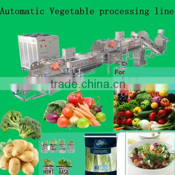 automatic vegetable processing line/salad/IQF