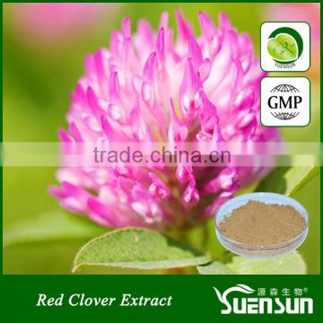 organic chinese 100% natural herb red clover extract powder
