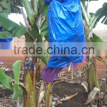 Banana Plant Protection Supplies