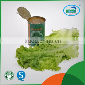 chinese Canned fish factory Hot selling mackerel fish canned