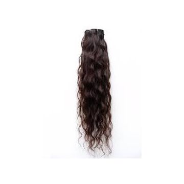Brazilian 14 Inch Curly Human Soft And Smooth  Hair Wigs Multi Colored Grade 8A