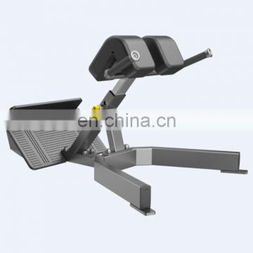 2020 High quality with factory price pin loaded exercise machine Back Extension commercial gym equipment SEH45