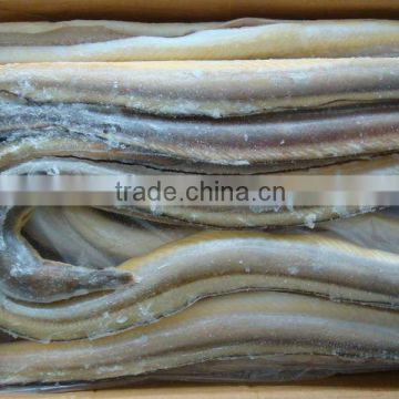 Frozen conger eel fish