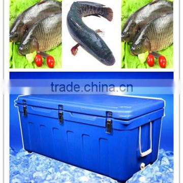 SCC Brand fish cold storage,frozen fish,fish bowl