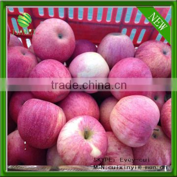 hot sell red qinguan apples shanxi qinguan apples exporter