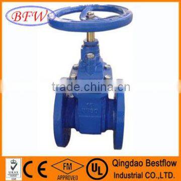 Ductile Iron/Cast Iron ANSI gate valve F4