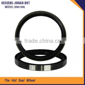 BW5180E Low Price Steering Hub Oil Seal for excavator