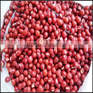 JSX heilongjiang angularis small red bean gold supplier export pulse red mung beans