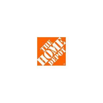 the home depot audit