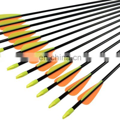 12 Pack Mix Carbon 30/31 Inch Hunting bow and arrow  archery100 Grain Points for Targeting Compound/Recurve/Long Bow arrow arrow