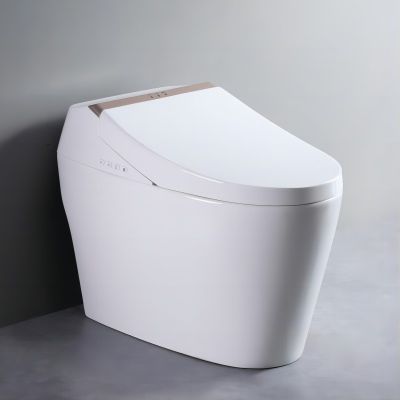 Intelligent toilet all-in-one machine toilet fully automatic sensing, flushing, hot drying, antibacterial digital display toilet