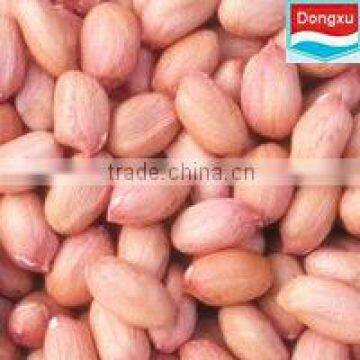 bold peanuts kernels