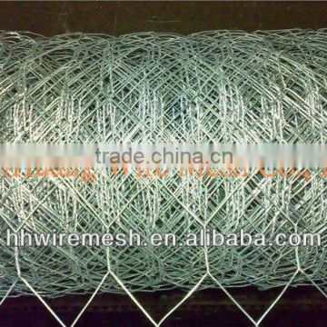 lowest price and best quality 3/4'' Galvanized Hexagonal Wire Netting/hexagonal wire mesh/galvanized netting wire