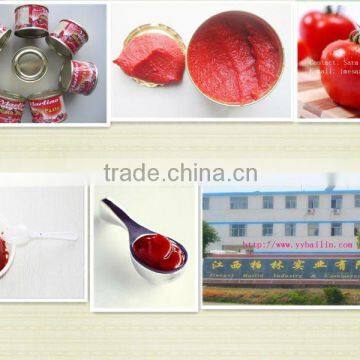 hot break CANNED tomato paste of price 1000g