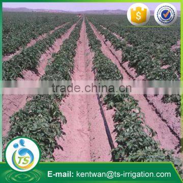 Hot selling drip irrigation hose