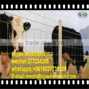 Hot sale cattle/goat field fence with best price