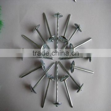 galvanized roofing nails