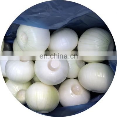 2020 New Crop Top Grade 20 KG package Diameter > 6 cm Peeled  Fresh Yellow Onion for sale