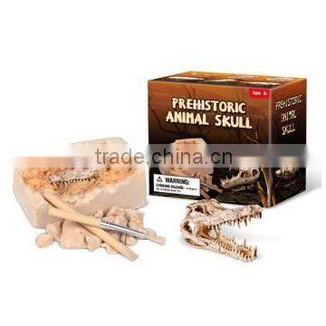 Prehistoric Animal Skull dig kit