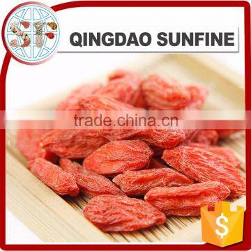 New crop export dried organic goji berries from Ningxia origin